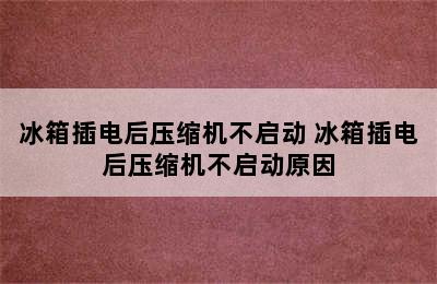 冰箱插电后压缩机不启动 冰箱插电后压缩机不启动原因